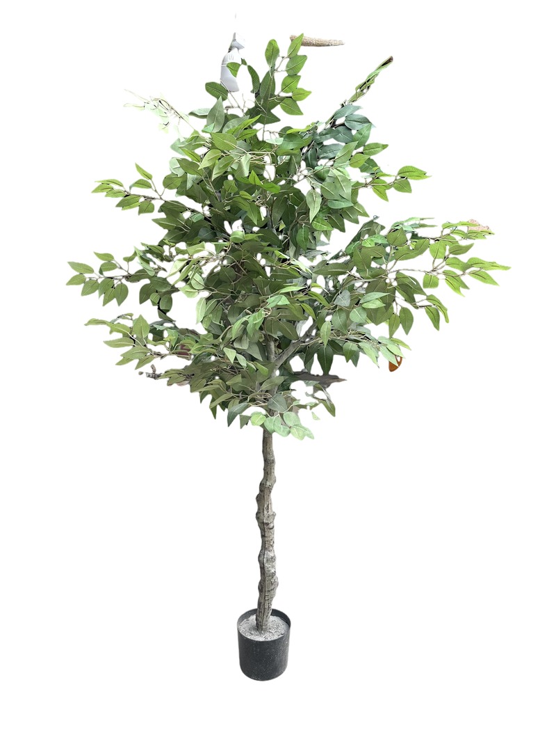 Artificial Ficus Trees