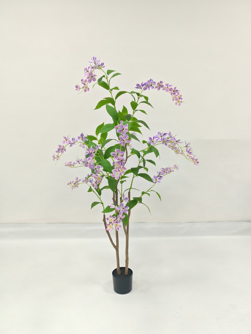 Jasmine (Bridal Veil)