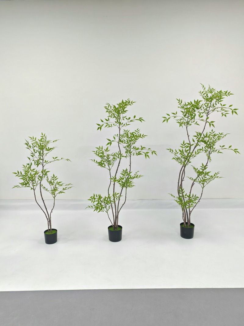 Nandina (Heavenly Bamboo)