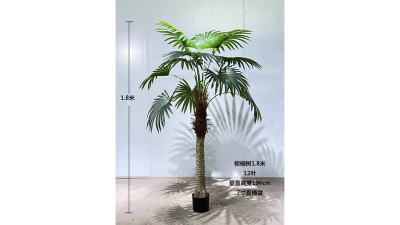 Palm Tree (Custom)