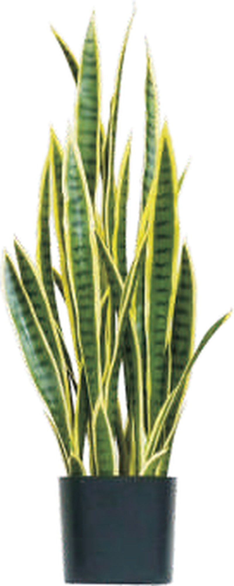 Artificial Succulents and Cactus