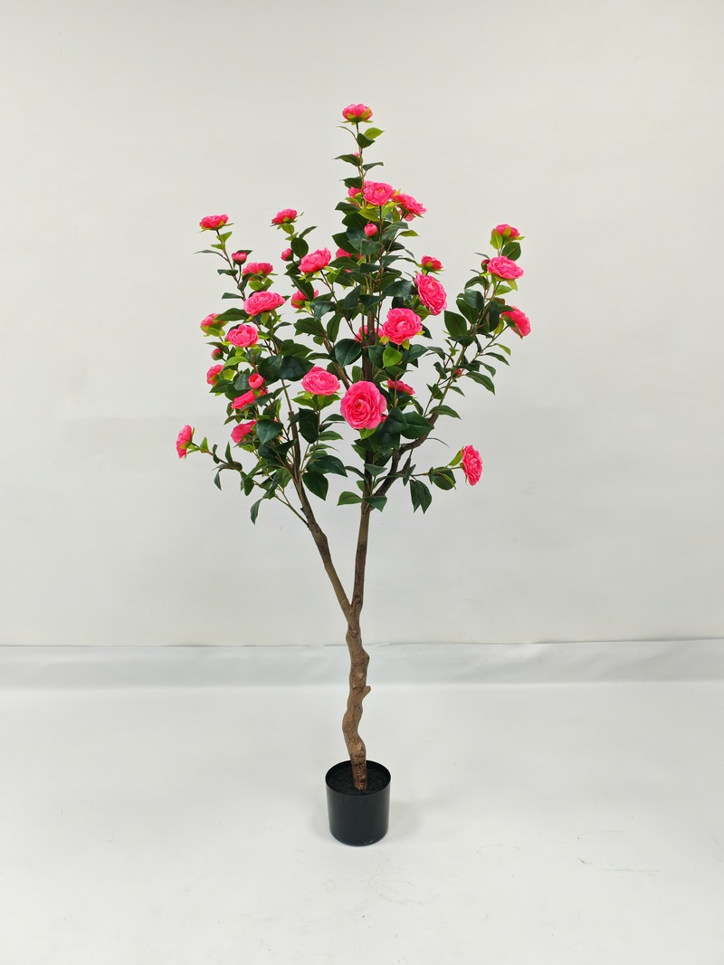Tea Tree